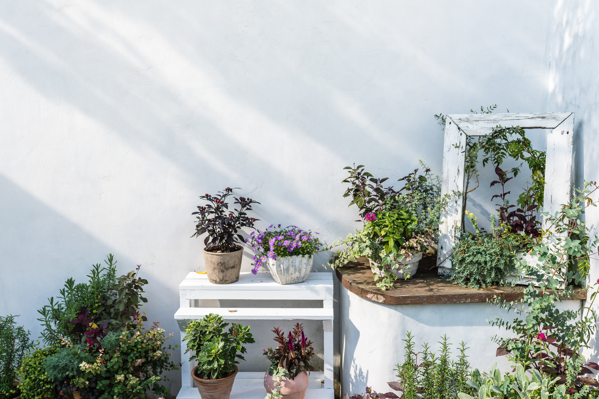 ガーデニングお洒落 木製プランター ガーデニング 花壇 「a+ design ガーデンボックス800